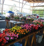 Marché