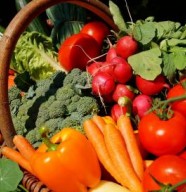 Marché de producteurs locaux