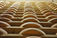 Visite de la Fruitière à Comté