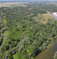 Sortie nature : Découverte de la réserve