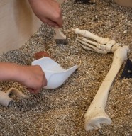 Visite de l'&cclesia et atelier de fouille archéologique