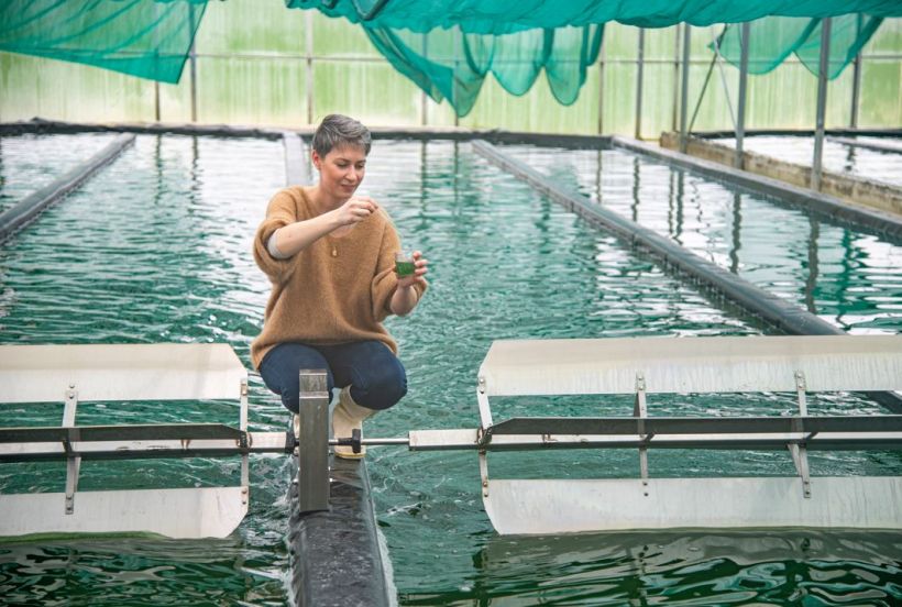 Visites : Spiruline du Doubs