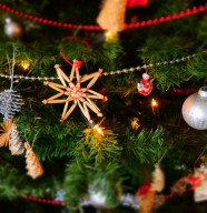 Excursion marché de Noël de Bern