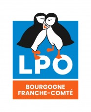 Sortie nature : découverte des champignons d'automne
