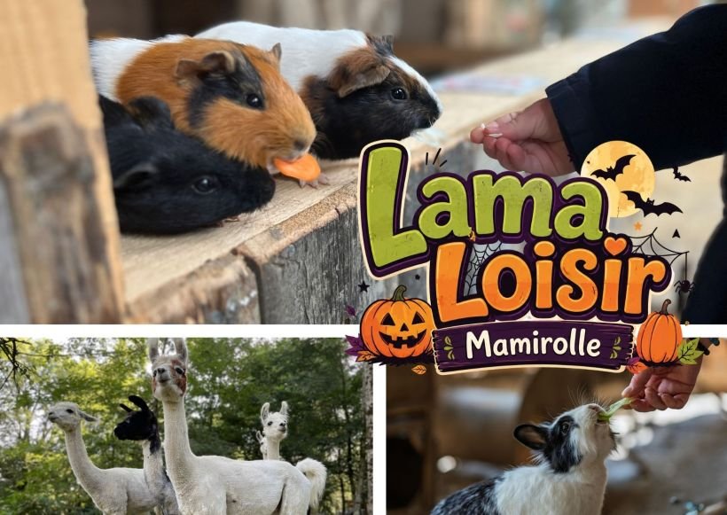 Vacance D'Automne à Lama Loisir