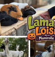 Vacance D'Automne à Lama Loisir