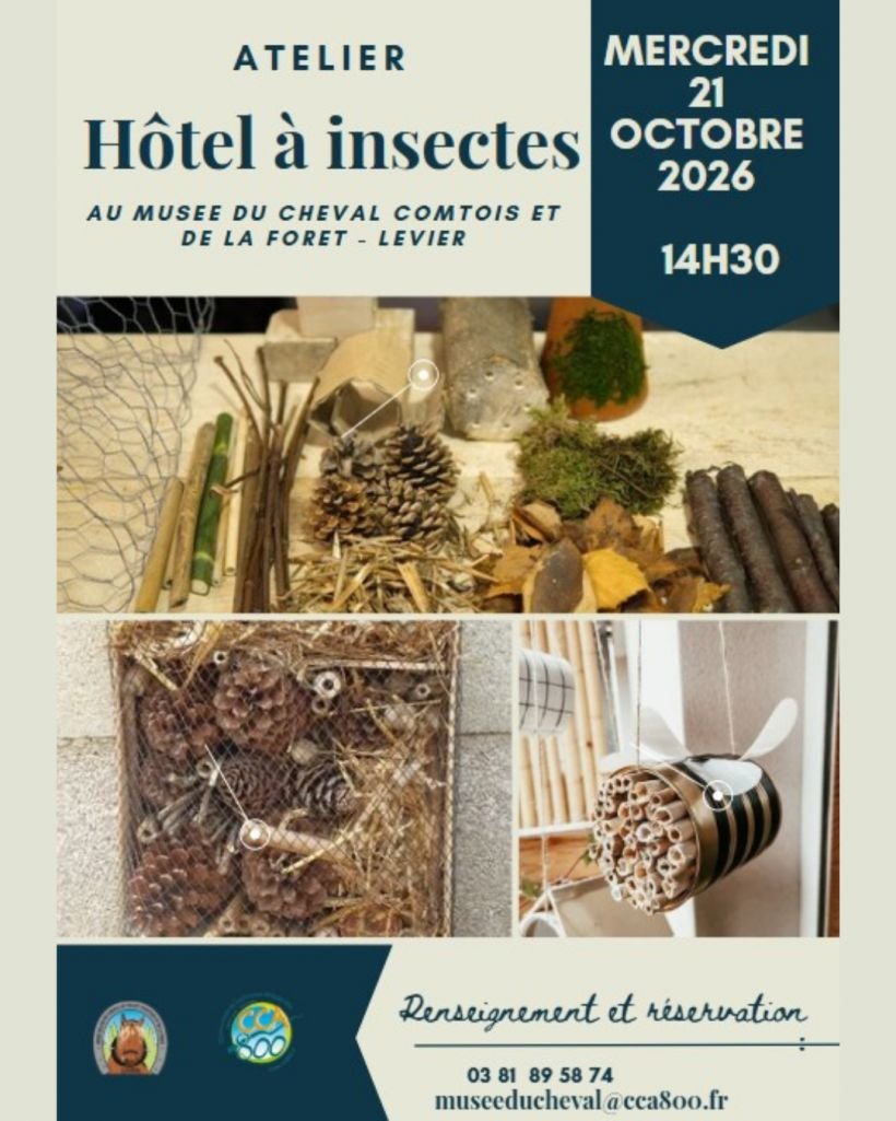 Atelier - Hôtel à insectes