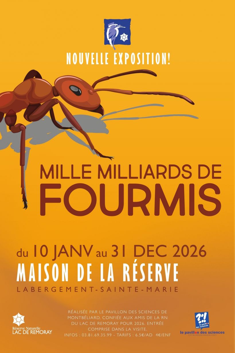 Mille milliards de fourmis