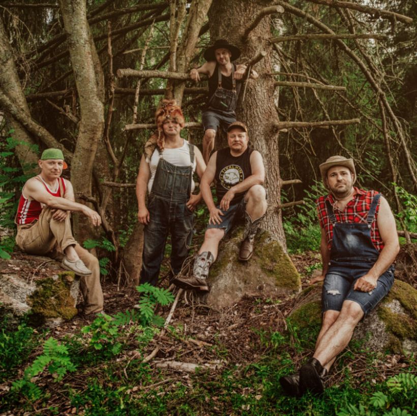 Steve'n'Seagulls