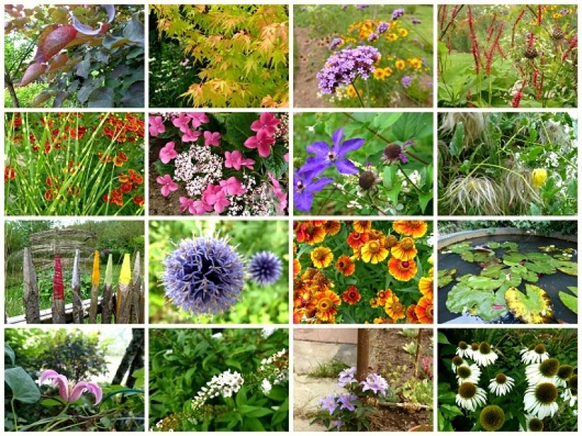 Vente de fleurs de la Toussaint