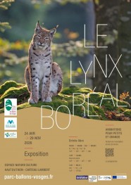 Le Lynx boréal