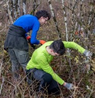 chantier d'entretien de la pelouse sèche