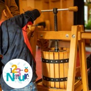 Fabrication et dégustation de jus de pommes