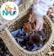 Sortie nature : les champignons