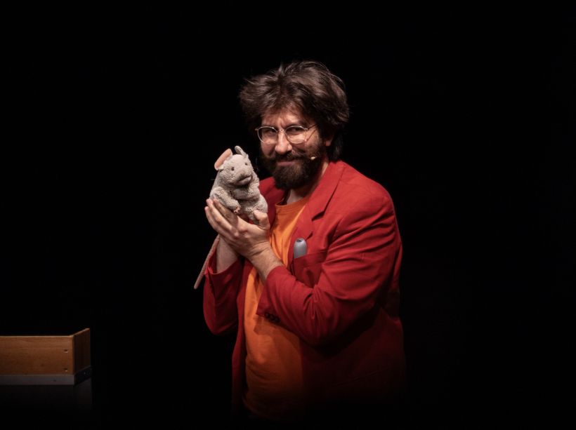 Le Paradoxe du Chat