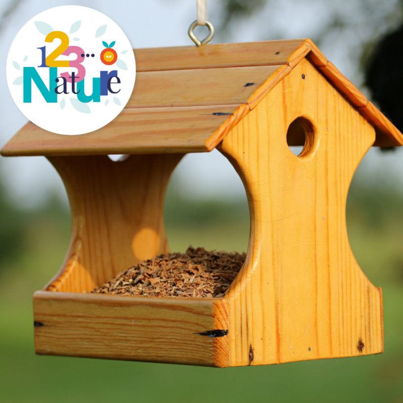 Atelier : Fabrique ta mangeoire à oiseaux