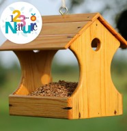 Atelier : Fabrique ta mangeoire à oiseaux