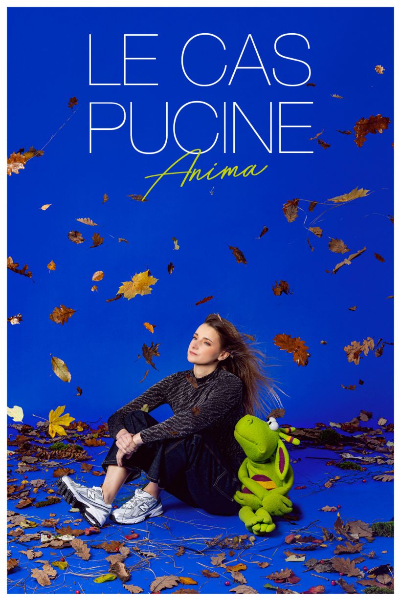 Le Cas Pucine