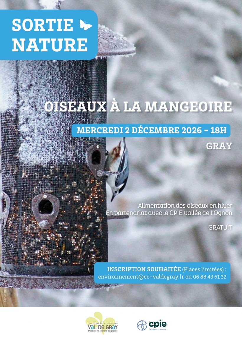 Sortie nature : oiseaux à la mangeoire