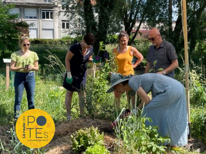 Jardin partagé des Incroyables Comestibles