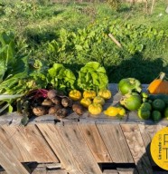 Jardin partagé des Incroyables Comestibles