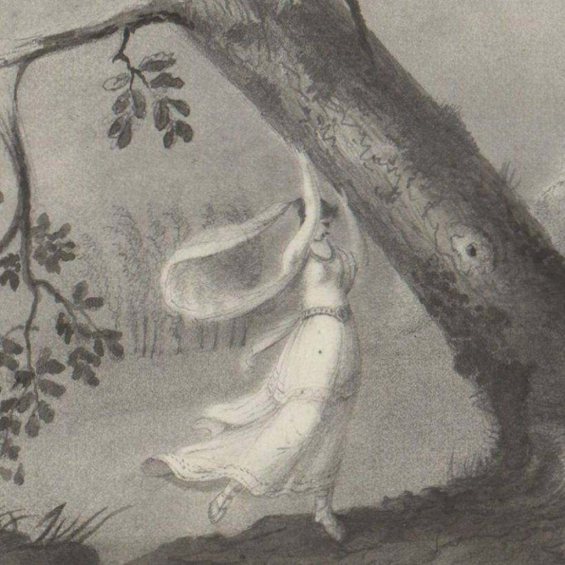 1 heure / 1 livre : Le bestiaire fabuleux de Désiré Monnier