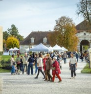 Foire aux Plantes