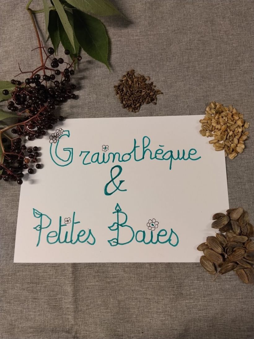 Grainothèque & petites baies