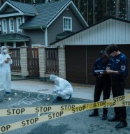Murder party