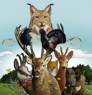 Atelier : Sur les traces du lynx boréal
