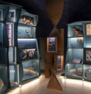 Visite guidée du Naturalium