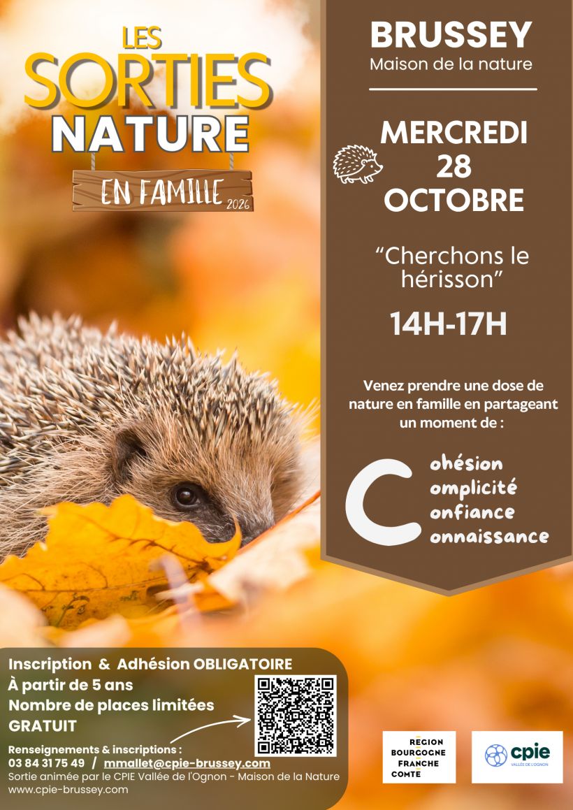 Sortie nature : cherchons le hérisson