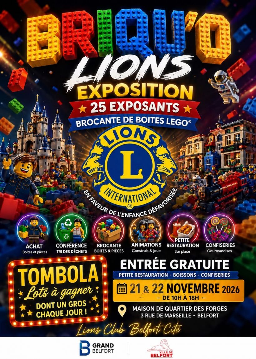 5ème Briqu'O Lions