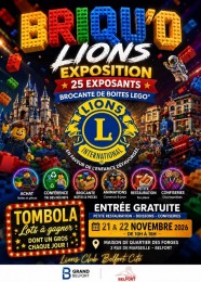 5ème Briqu'O Lions