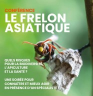 Conférence sur le frelon asiatique