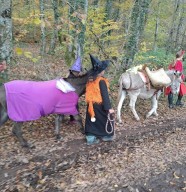 Halloween avec les ânes