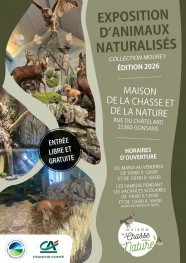 Exposition d'animaux naturalisés