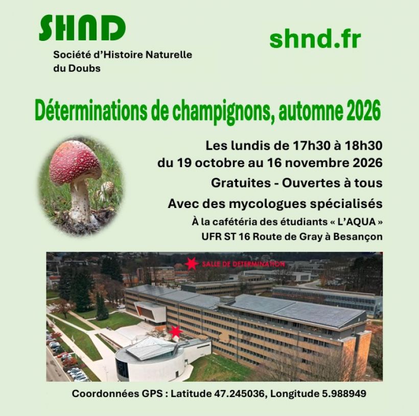 Détermination de champignons