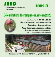 Détermination de champignons