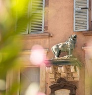 Visite : Sur la trace des lions