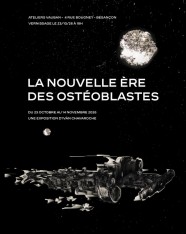 Ivàn Chavaroche "La nouvelle ère des ostéoblastes"