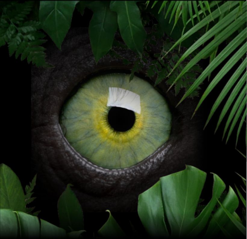Visite : Entre nature et mystère