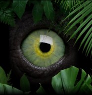 Visite : Entre nature et mystère