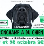 Ronchamp a du Chien !