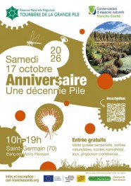 Anniversaire Une décennie Pile