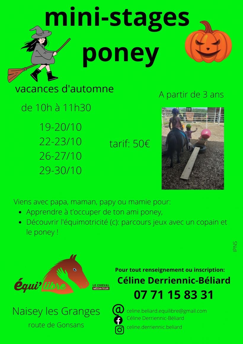 stages poney et découverte de l'équimotricité