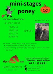 stages poney et découverte de l'équimotricité