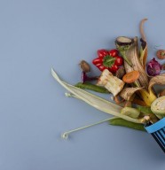 Challenge zéro-gaspillage dans ma cuisine