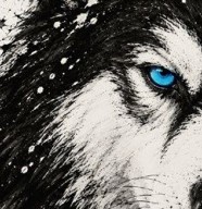 Contes d'hiver en musique