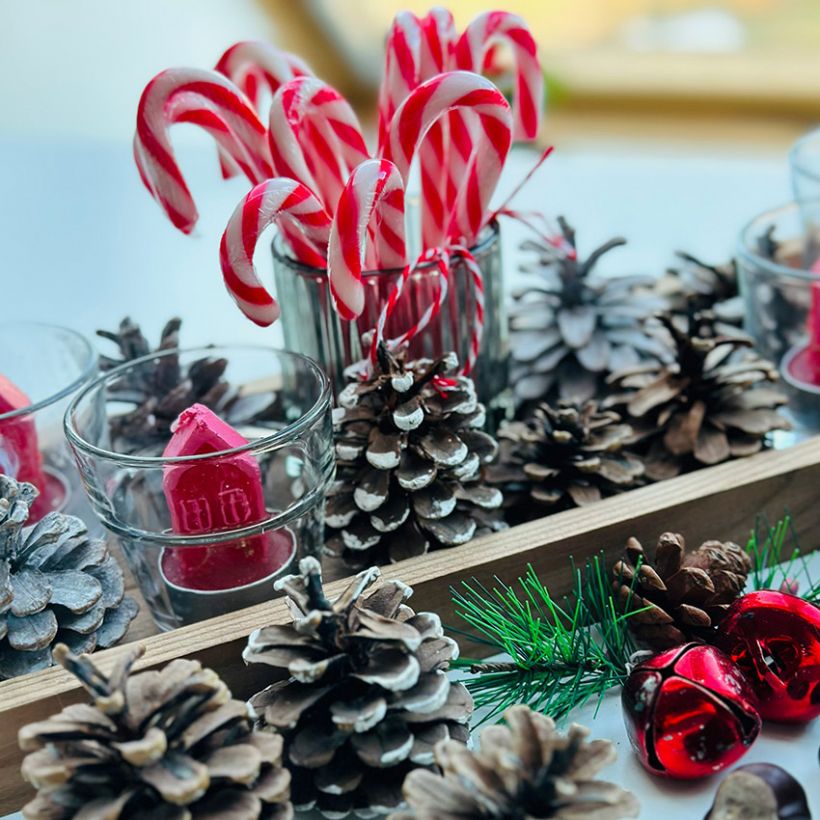 Bricolage en famille - Bougeoirs de Noël